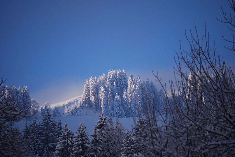 101236_WiesenbergMorgensAusblickRichtungAecherli_DSC_0724_806x540