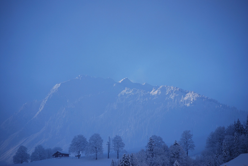 101236_WiesenbergMorgensAusblickRichtungArvigrat_DSC_0722_806x540