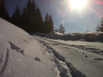 110306_Wiesenberg_Aecherli_IMG_0335_400x300