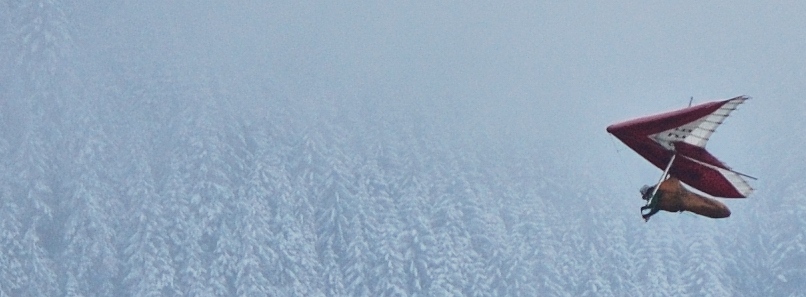 110320_Wirzweili_Gleiter_DSC_0449_ausschnitt_806x297