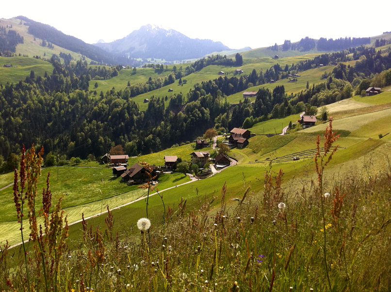 110508_Wiesenberg_Spaziergang_Leitere_IMG_0633_806_602