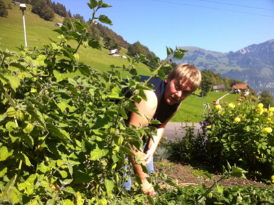 111002_Wiesenberg_Kleine_Physalisernte_IMG_1376_400x300