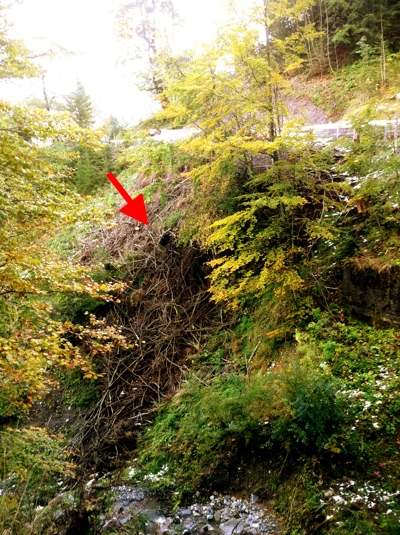 111009_Wiesenberg_Wanderung_Wirzweili_Pfeil_IMG_1541