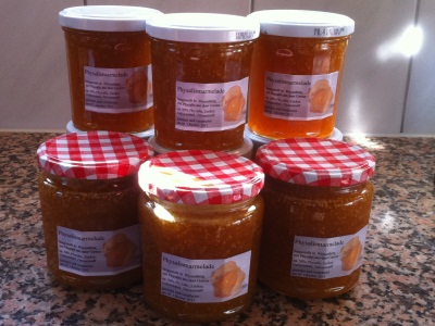 111015_Physalis_IMG_1559_400x300