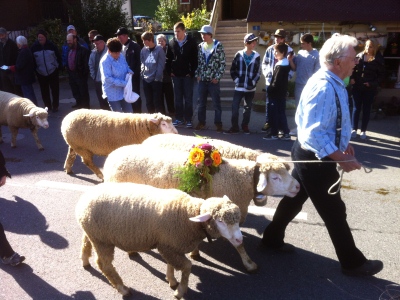 111024_Dallenwil_Aelplerchilbi_IMG_1602_400x300