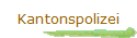 Kantonspolizei