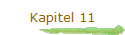 Kapitel 11