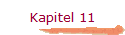 Kapitel 11