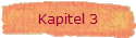 Kapitel 3