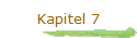 Kapitel 7