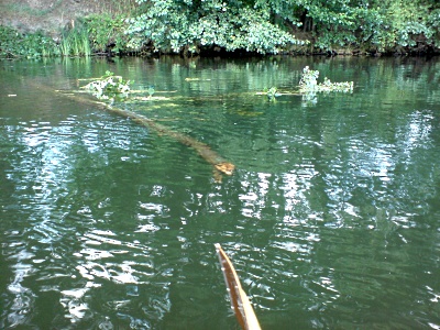 08Sommer_Spree_DSC00762_mini