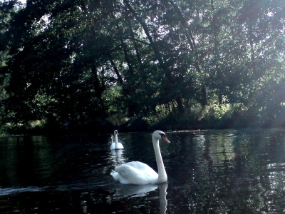 08Sommer_Spree_DSC00766_mini