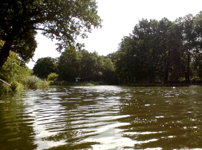 08Sommer_Forsthaus_DSC00841_mini