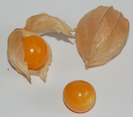 071104_Beckenried_Physalismarmelade_DSC_015201