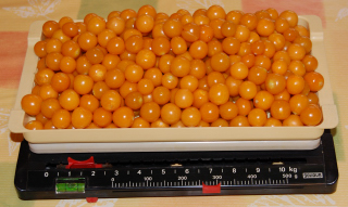 071104_Beckenried_Physalismarmelade_DSC_015601