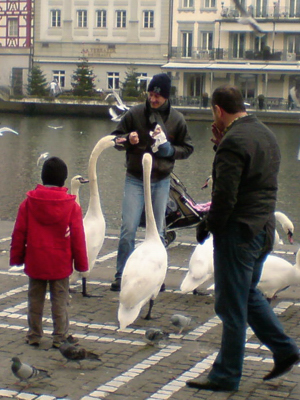 081214_LuzernWeihnachtsmarkt_DSC00964_mini