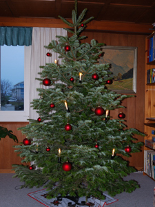 081230_BeckenriedWohnzimmerTannenbaum_DSC_0139_mini
