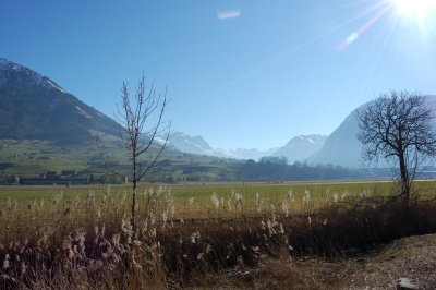 080224_MittagswanderungBuochs_DSC_0032_mini