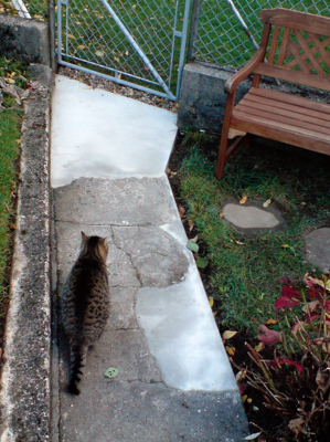 081103_BeckenriedGartenwegFertig_DSC00935_mini