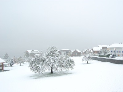 081030_BeckenriedWintereinbruch_DSC_0686_mini