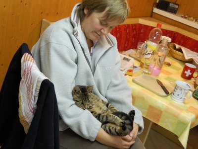 091021_BeckenriedKuecheTiger_DSC_0164_400x300