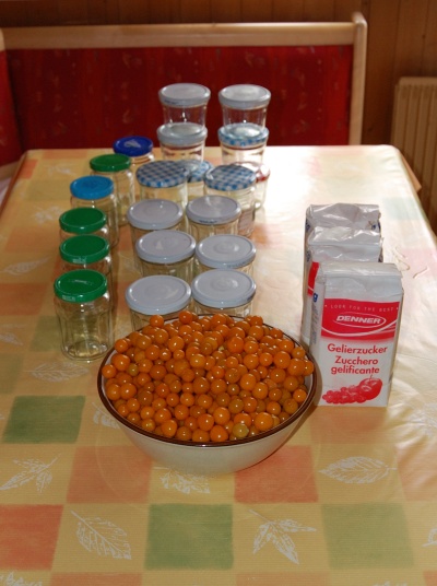 091025_BeckenriedMarmeladeKochen_DSC_0170_400x536