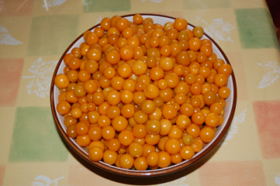 091025_BeckenriedMarmeladeKochen_DSC_0173_400x266