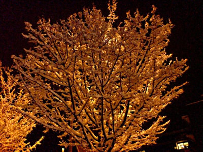 090212_LuzernWerkhofstrasseImSchnee_DSC01095_400x300