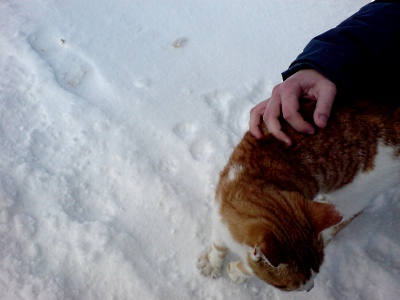 090221_Wirzweili_DSC01108_400x300