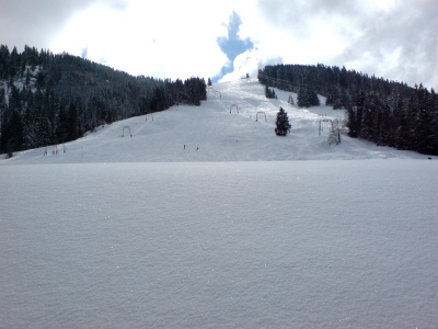 090221_Wirzweili_DSC01111_400x300