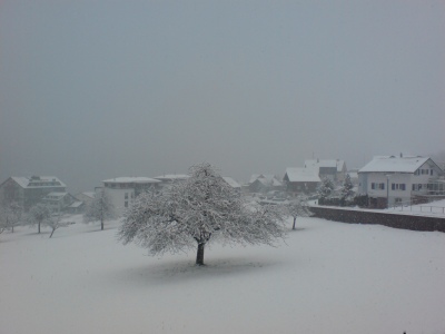 090222_BeckenriedVorDemHausSchneeSchaufeln_DSC01124_400x300