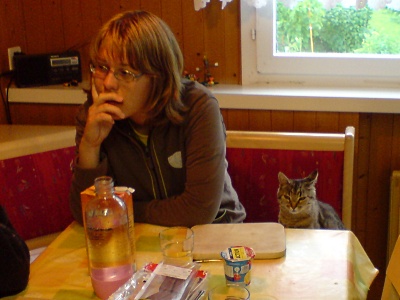 090708_Beckenried_KatzeTinaMitAmFruestueckstisch_DSC01417_400x300