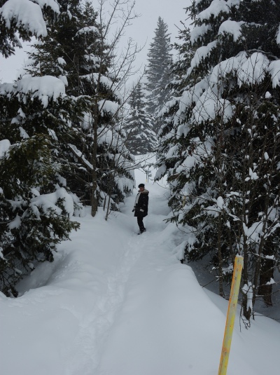 090306_Wirzweili_1532_DSC_0020_400x535