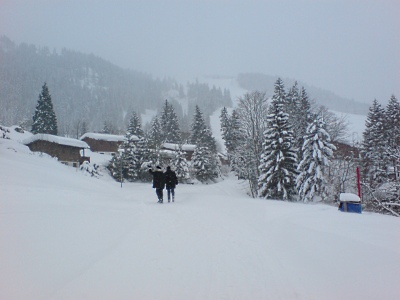 090306_Wirzweili_1549_DSC01154_400x300