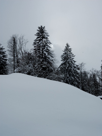 090306_Wirzweili_1602_DSC_0035_400x535