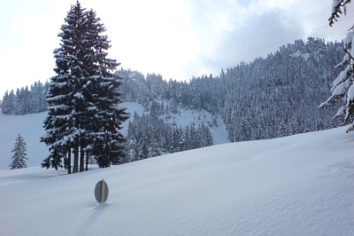 090307_Wirzweili_0951_DSC01161_400x266