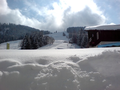 090307_Wirzweili_1223_DSC01169_400x300