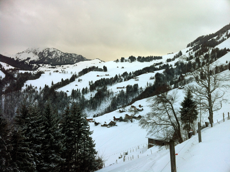 111230_Wiesenberg_Leitere_IMG_1942_806x602