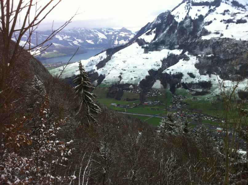 111230_Wiesenberg_Leitere_IMG_1961_806x602