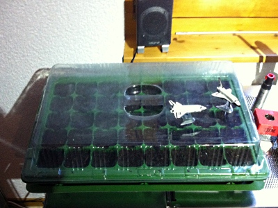 120105_Wiesenberg_Physalis_IMG_2030_400x300