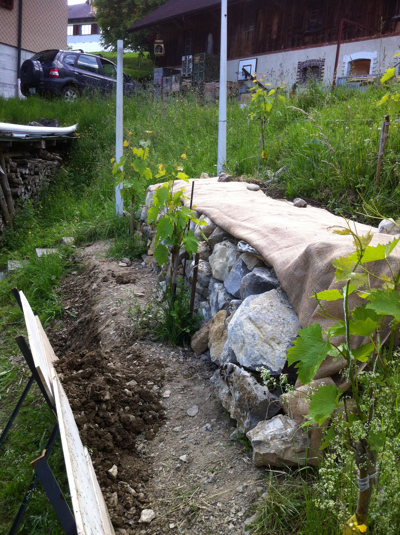 120616_Wiesenberg_Steinmauerbau_IMG_2533_400_535