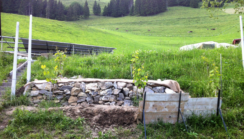 120616_Wiesenberg_Steinmauerbau_IMG_2534_806_459