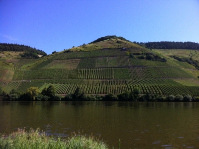 120804_Mosel_Fahrradtour_IMG_2626_400x300