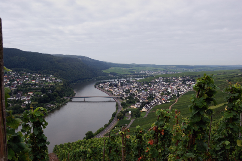 120808_Mehring_D40_DSC_0288_806x535