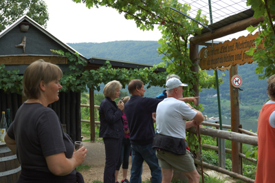 120808_Mehring_D40_DSC_0292_400x266