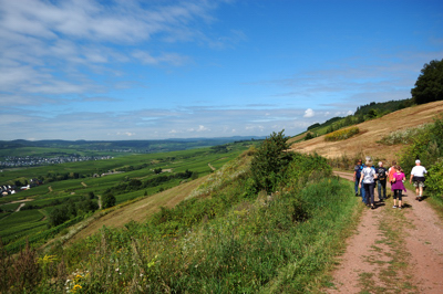 120808_Mehring_D40_DSC_0307_400x266