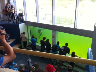 120810_Norddeich_Seehundstation_IMG_2811_400x300