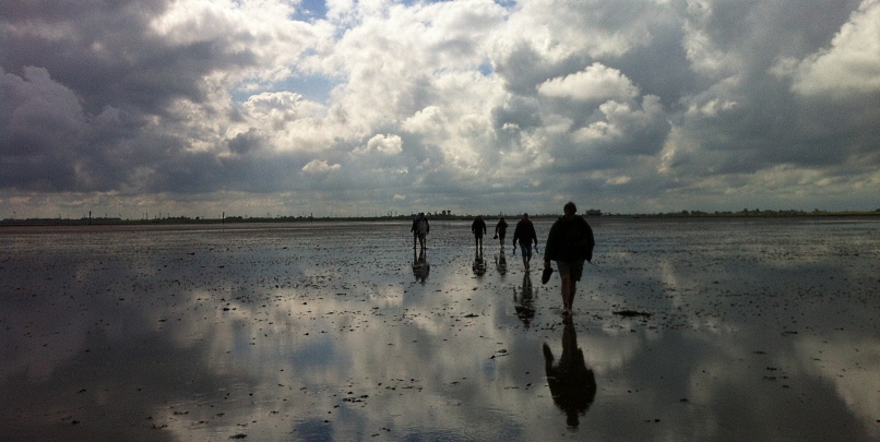 120811_Wattwanderung_Norderney_IMG_2828_806x405