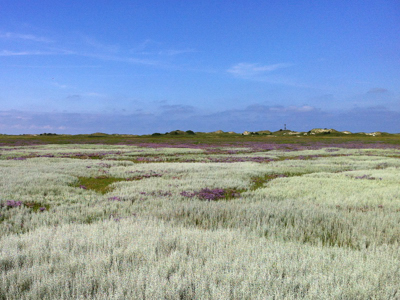 120811_Wattwanderung_Norderney_IMG_2834_400x300