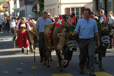 121021_Stans_Aelplerchilbi_DSC_0380_400x266